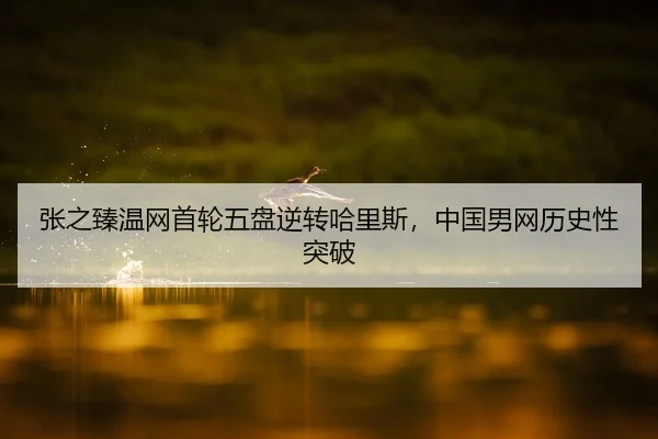 张之臻温网首轮五盘逆转哈里斯，中国男网历史性突破