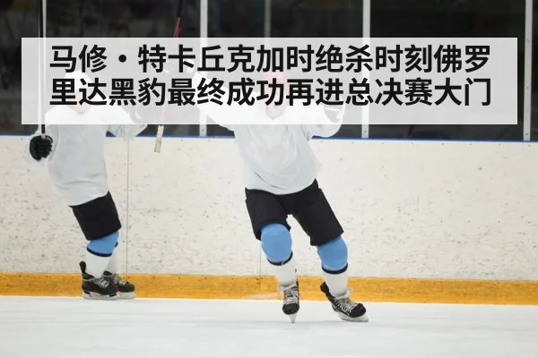 马修·特卡丘克加时绝杀时刻佛罗里达黑豹最终成功再进总决赛大门