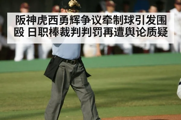 baseball umpire argument
