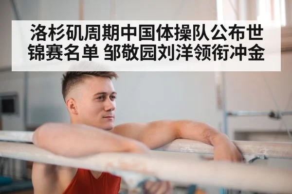 parallel bars gymnastics